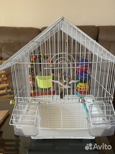 Клетка для волнистого попугая бу