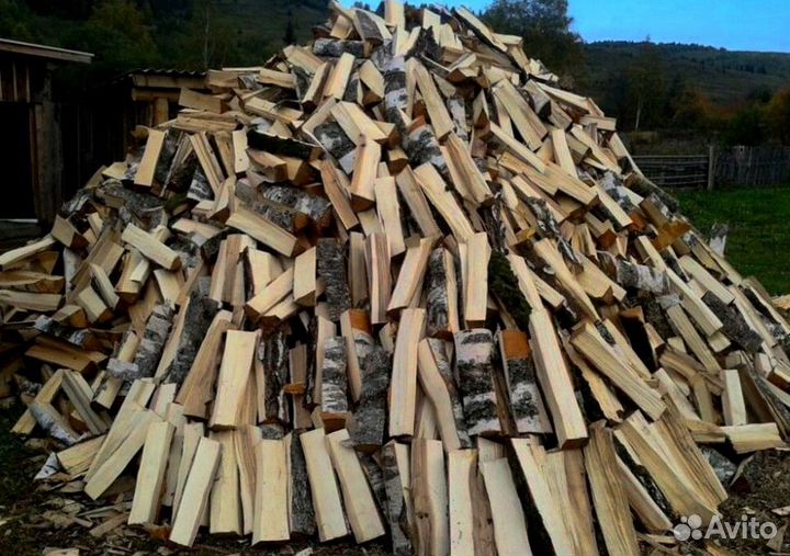 Дрова без плесени