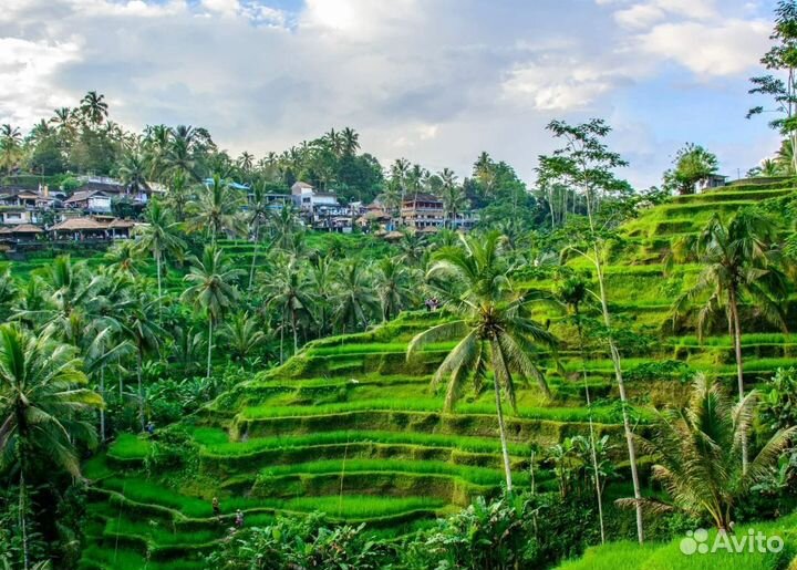 Тур поездка на Бали на 9 ночей