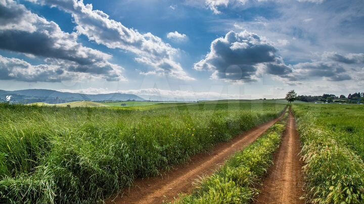 Участок 15 га (СНТ, ДНП)