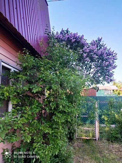 Дача 75 м² на участке 3 сот.