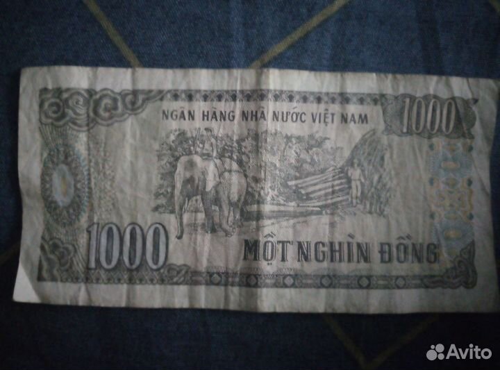 Банкноты коллекционные