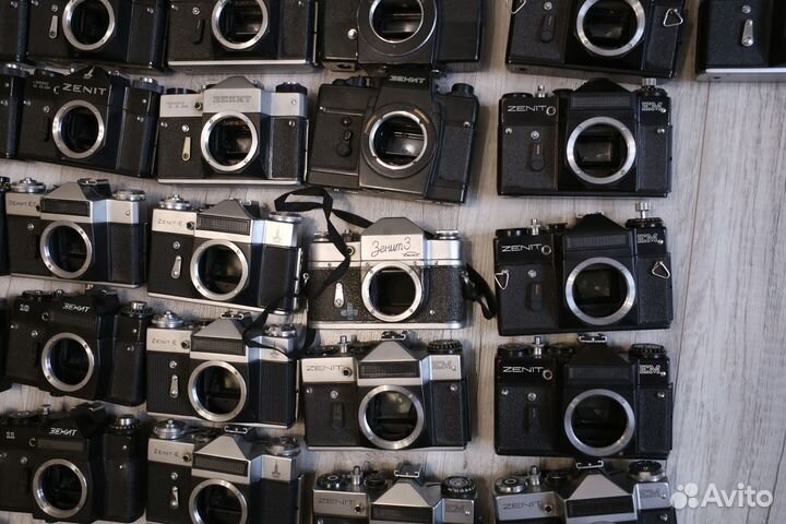 Тушки Зенит большой выбор 11.08.23