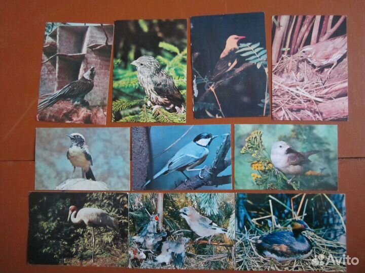 Открытки СССР