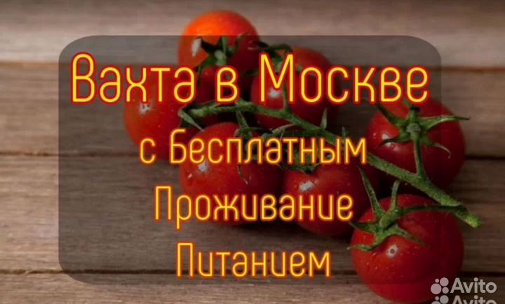 Вахта - Весовщик томатов в Агрокомплексе Москвы