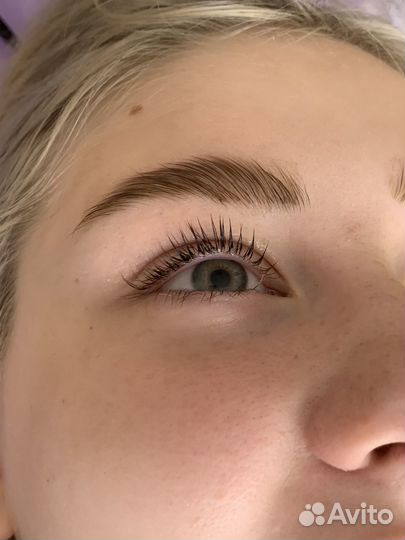 Мастер бровист