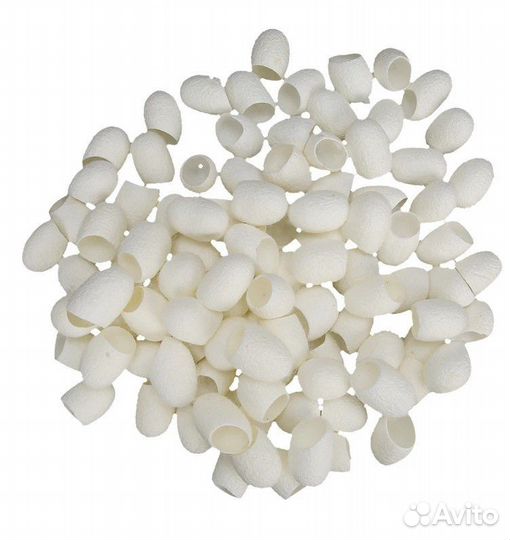 Коконы тутового шелкопряда 50шт