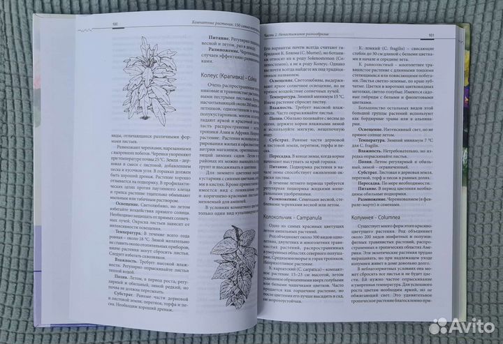 Книга Комнатные растения