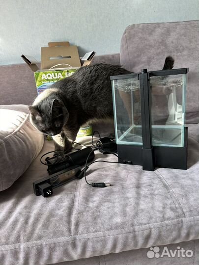 Аквариум для рыбок маленький
