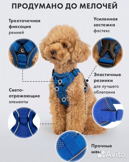 Шлейка для собаки