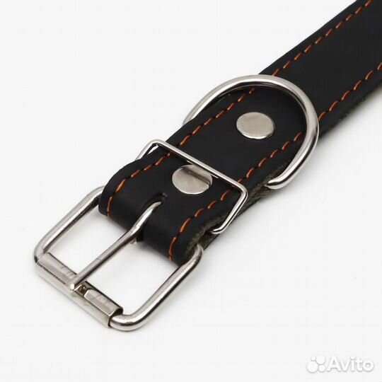 2 шт. Ошейник комбинированный кожа/брезент, 69 х 3