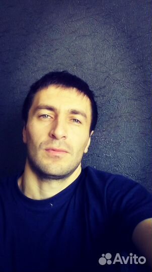 WEB разработчик