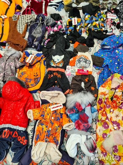 Одежда для собак