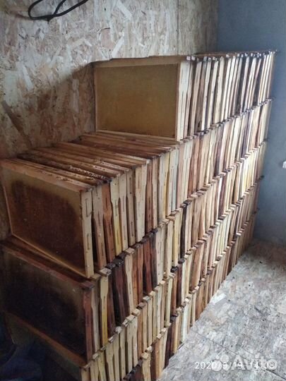 Сушь для пчёл