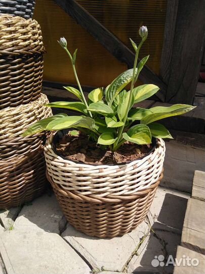 Кашпо из полиротанга