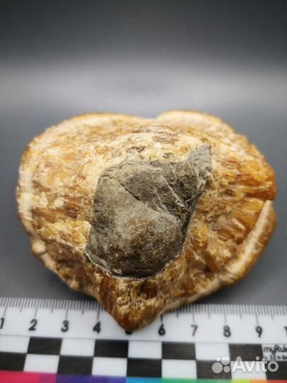 Симбирцит (кальцит), Ульяновск