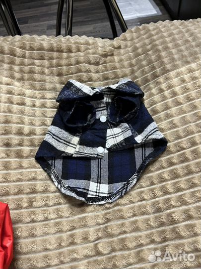 Вещи для собак маленьких пород