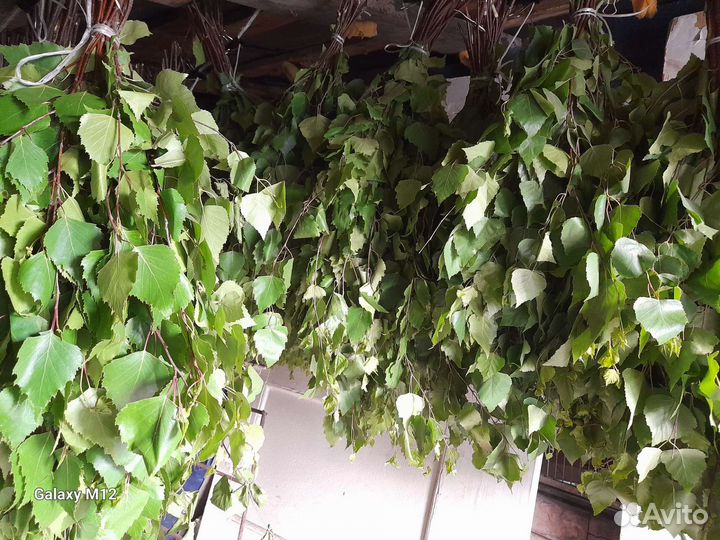 Веники для бани