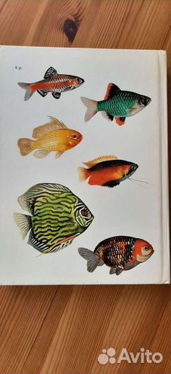 Книга редкая о рыбках