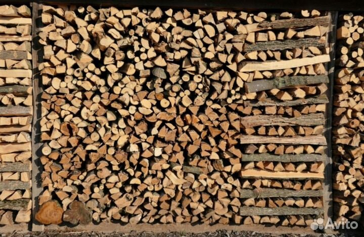 Дрова дубовые колотые