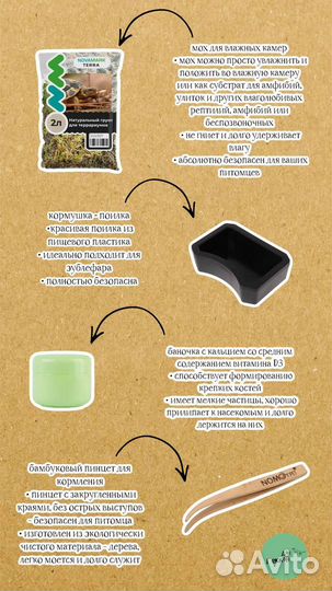 Эублефар малыш