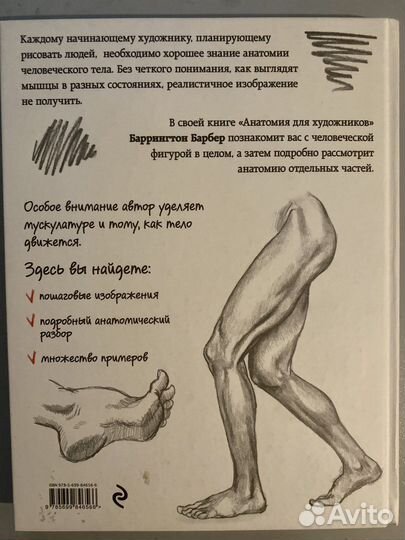 Анатомия для художников. Баррингтон Барбер