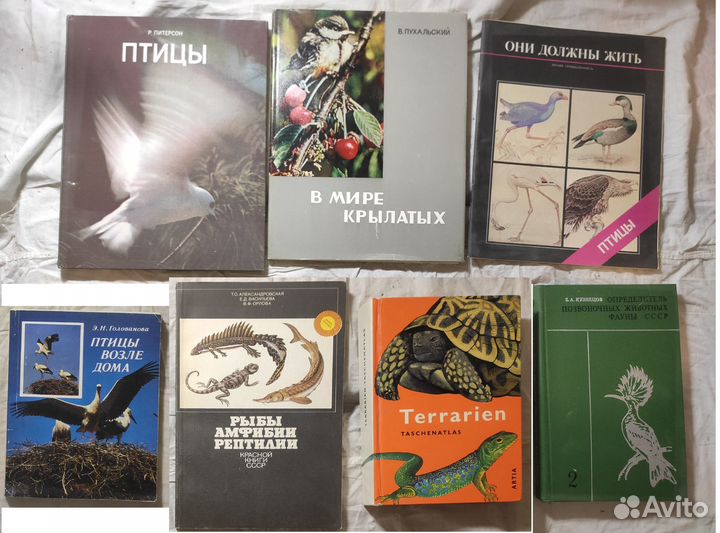 Книги: Охота, Животные,Самые красивые и знаменитые