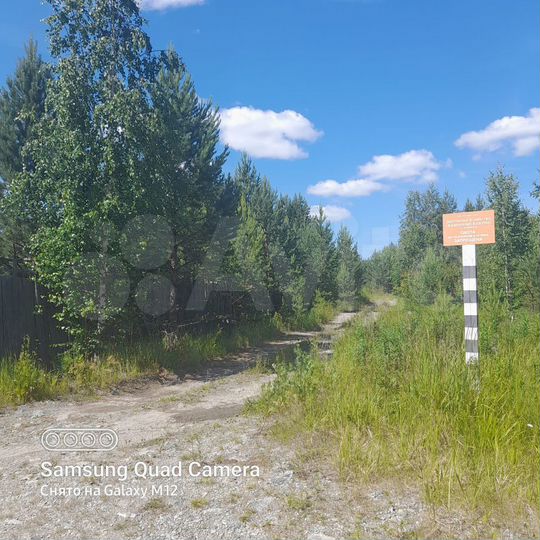 Участок 10,6 сот. (СНТ, ДНП)