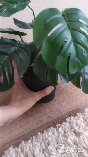 Искусственная Монстера