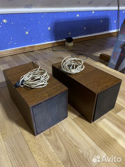 Акустическая система