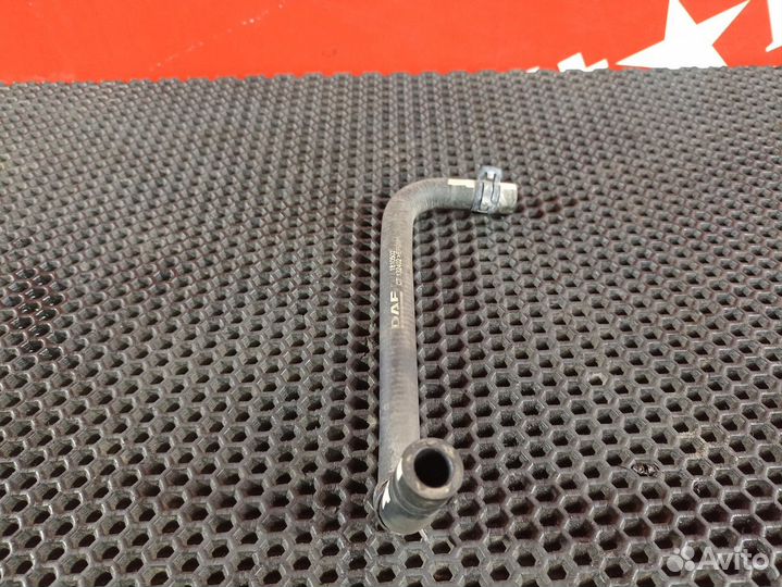 Патрубок радиатора Daf XF106