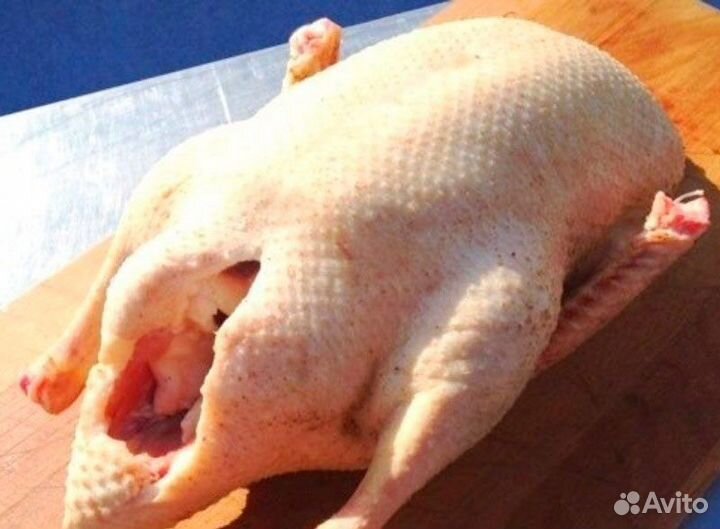 Мясо утки мулард,бройлер,Куры редбро С доставкой