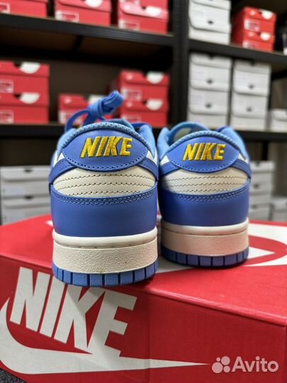 Nike dunk low blue 