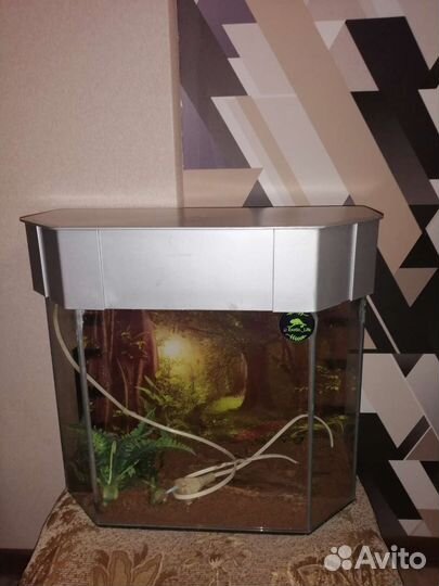 Аквариум