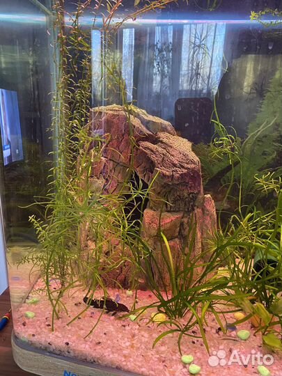 Аквариум Jebo R3126