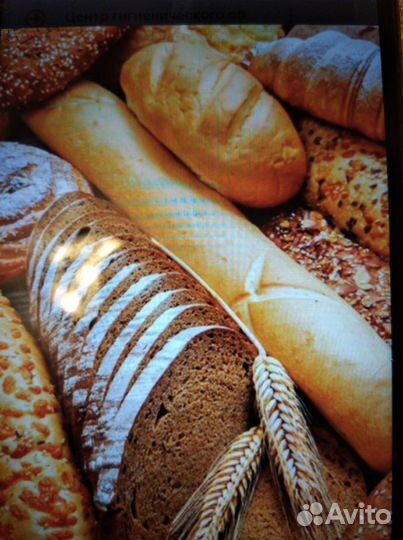Хлеб и хлебобулочные изделия
