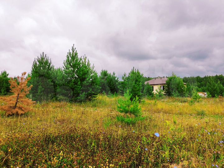 Участок 25 сот. (ИЖС)