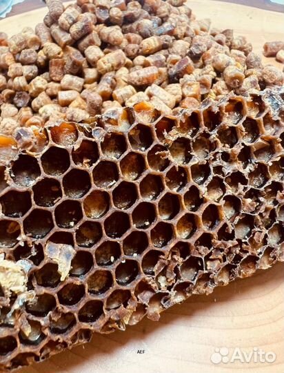 Алтайская перга