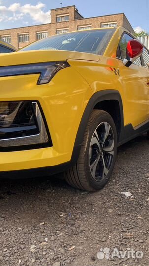 Ищем внимательного водителя на новые авто