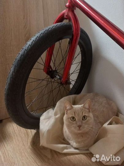 Велосипед BMX (продажа, обмен на мтб)