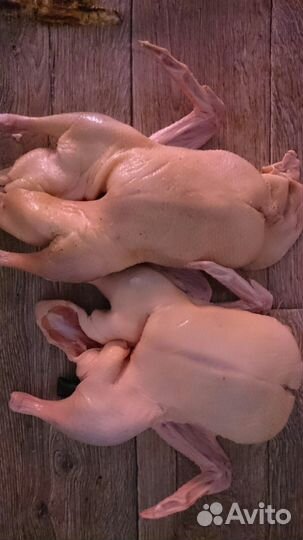 Домашний бройлер, утка, Колбаса, тушенка и др