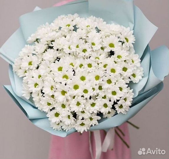 Хризантема Букеты с доставкой