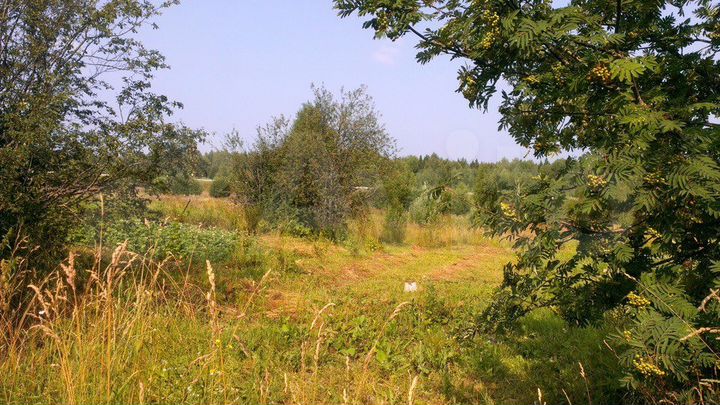 Участок 27 сот. (ИЖС)