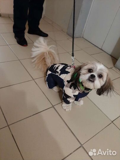 Одежда для средней собаки, комбинезон зимний