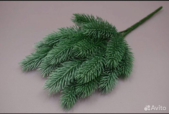 Ветки ели, еловые ветки