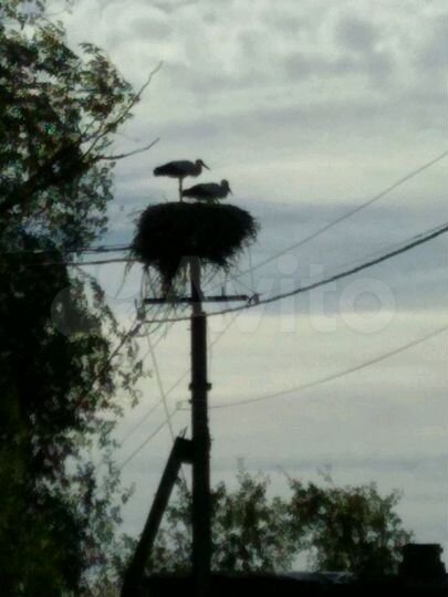 Участок 25 сот. (ИЖС)