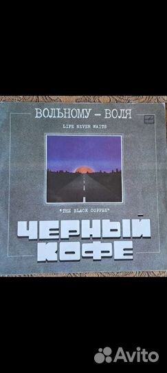 Виниловая пластинка