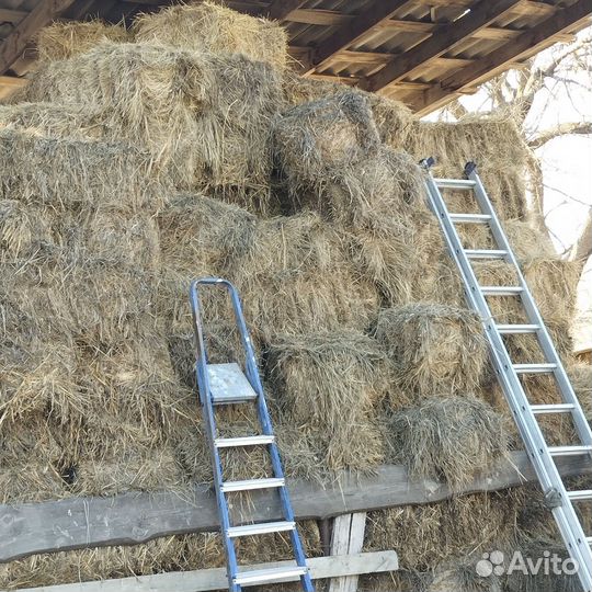 Тюки сено