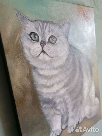 Картина маслом на холсте портрет кошки