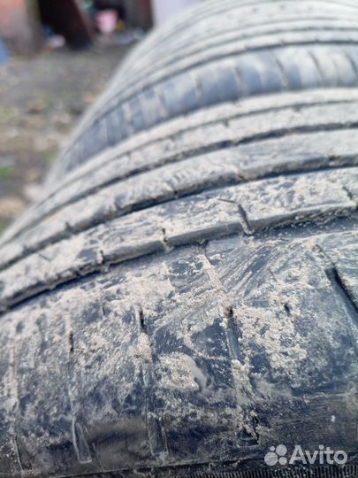 Maxxis Premitra HP5 195/55 R15 85V